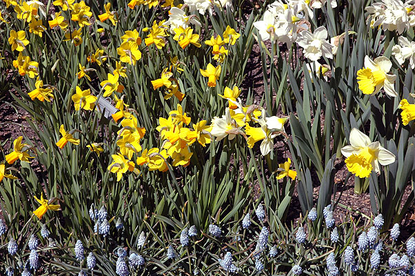 Central Park 048.JPG